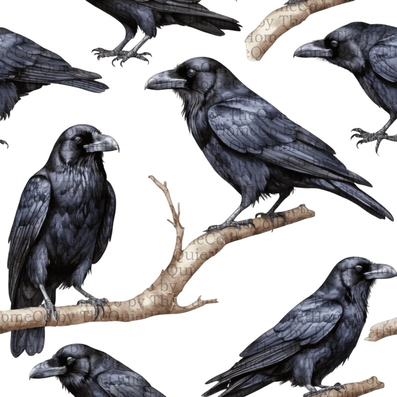 17 Black Raven PNG Clipart Set | Gothic Halloween Illustrations (Digital Download) | Set #257 image 15