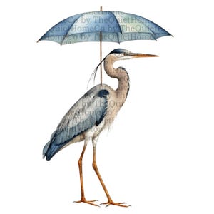 23 héron PNG Clipart Bundle | Grue à l'aquarelle avec illustration de parapluie | Clipart oiseau bohème pour journal, décoration et travaux manuels | Ensemble #91