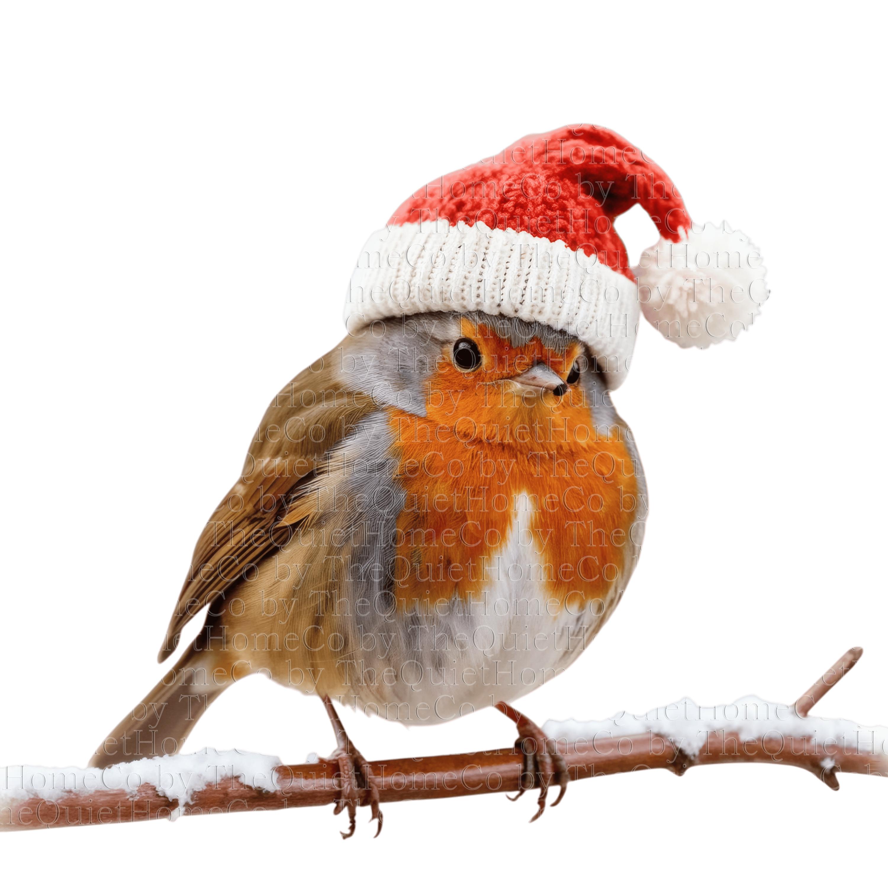 20 Christmas Robin Clipart PNG Set | Cute Winter Bird in Santa Hat ...