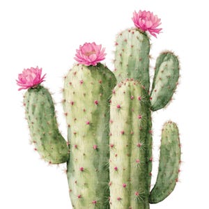Pink flower cactus - Etsy sterreich