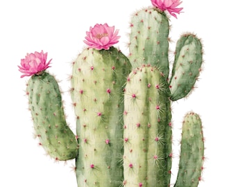 Watercolor Cactus Clipart Set: Boho Succulents with Pink Flowers (PNG Download, 4096x4096 px)