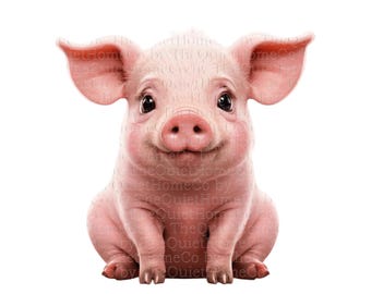 12 Pig Clipart | Realistic Baby Pig Illustrations (PNG) | Set #638