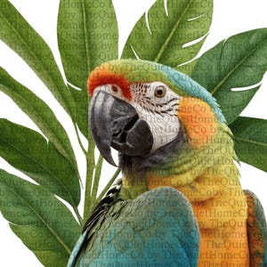 Watercolor Tropical Parrot Clipart | PNG Jungle Macaw Images with Leaves for Sublimation, Nursery Decor & Exotic Art Projects | Set #325