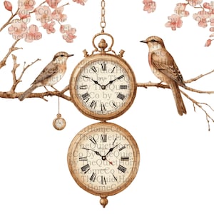 Lot de 19 cliparts d'horloges d'oiseaux vintage – oiseaux aquarelles assis sur une pochette florale et horloges anciennes, images png rustiques romantiques | Série #131