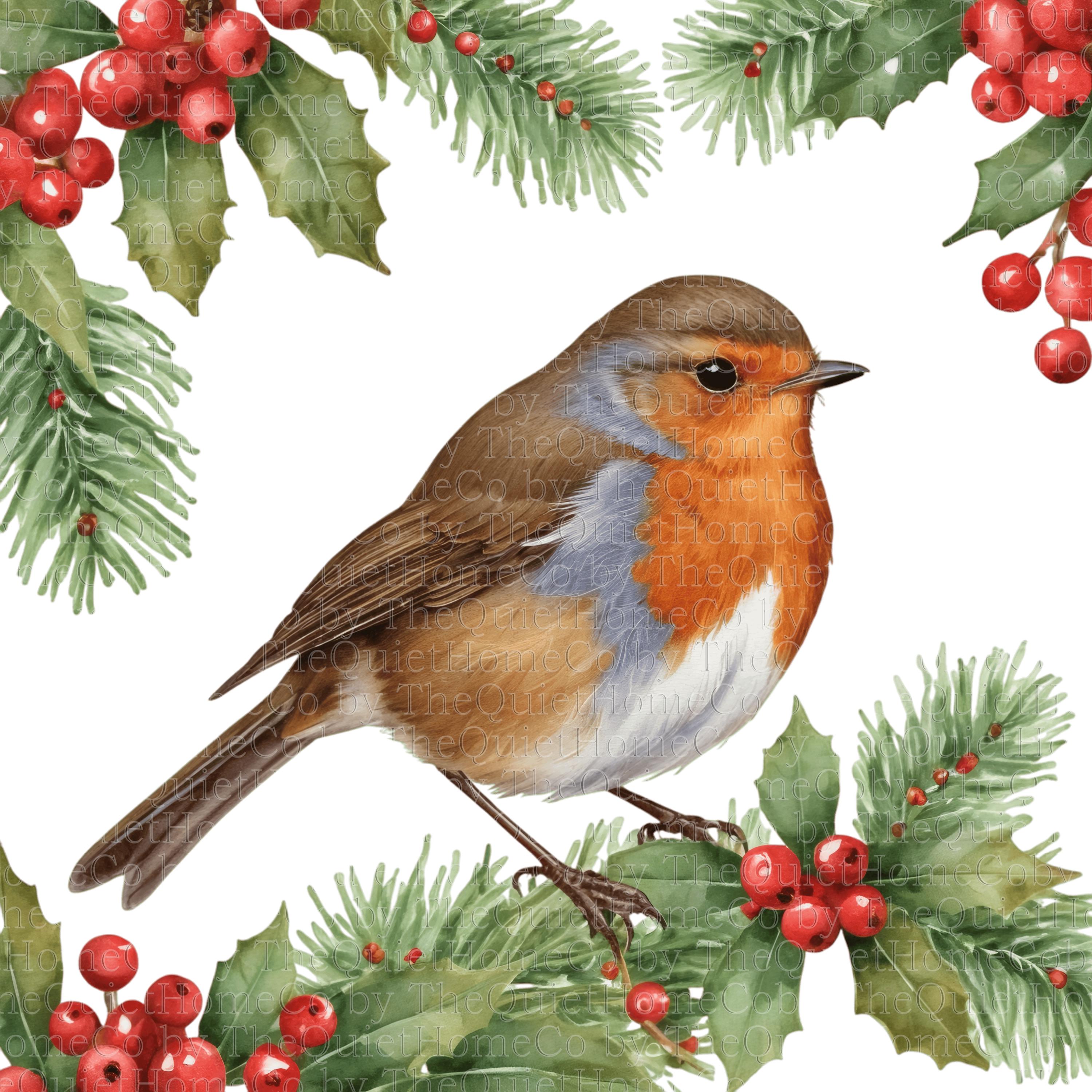 水彩画クリスマスロビンクリップアート18点｜冬の鳥PNGセット