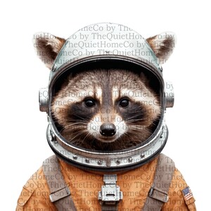 Lot de 20 cliparts aquarelle : raton laveur de l'espace – PNG, raton laveur astronaute, casques, décoration de chambre d'enfant, art mural pour enfants et travaux manuels sur le thème de l'espace | Ensemble #223