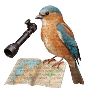 18 oiseaux aquarelle avec télescope Clipart | Mignon Birdwatcher PNG pour la science et l'art de la nature | Réservez une image d'oiseaux perchés | Ensemble #172