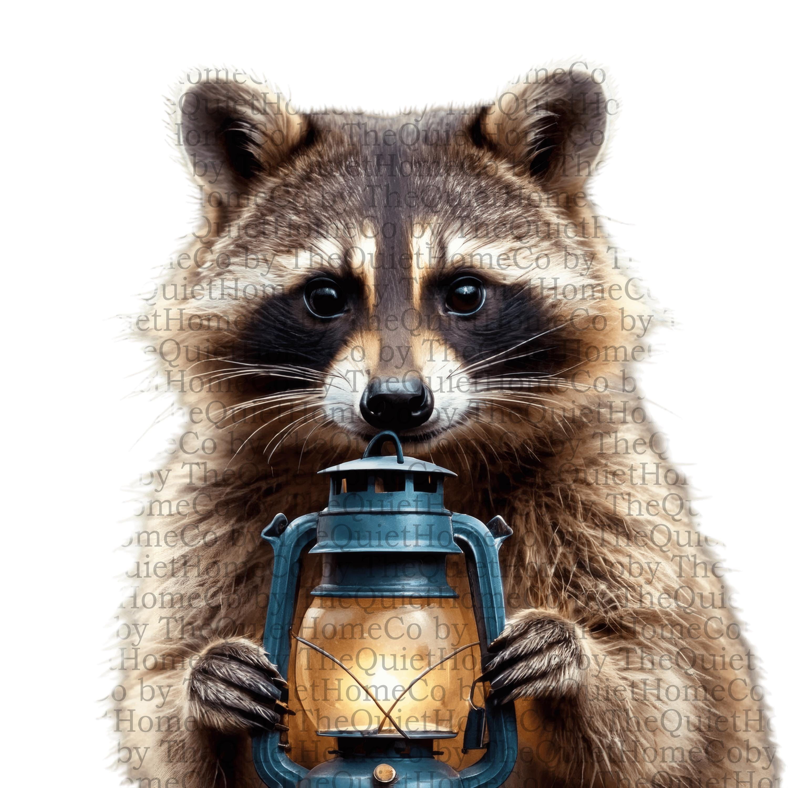 18 Watercolor Raccoon Clipart Set | PNG Cozy Woodland Raccoons Holding ...