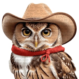 10 cliparts PNG hibou de l'Ouest | Aquarelles Cowboy Hiboux en chapeaux Echarpes | Fond transparent | Décoration de ferme et rustique imprimable | Ensemble #18