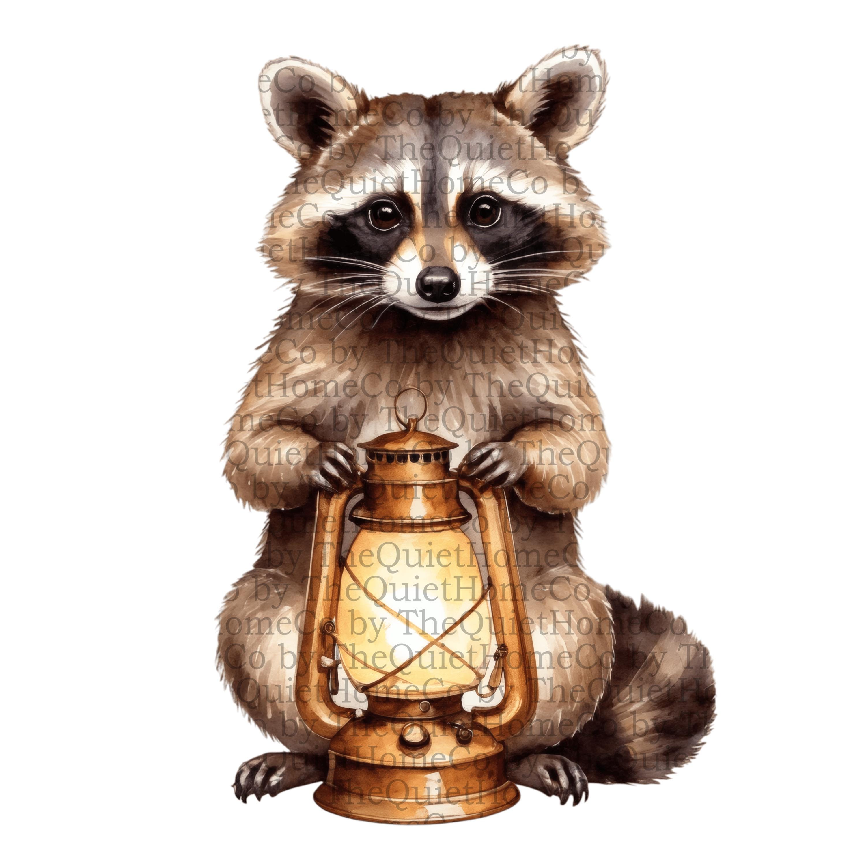 18 Watercolor Raccoon Clipart Set | PNG Cozy Woodland Raccoons Holding ...