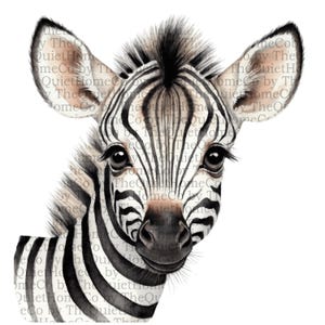 17 Baby Zebra Clipart PNG Bundle | Watercolor Cute Safari Zebra Illustrations for Nursery Decor, Sublimation & Baby Shower Crafts | Set #435