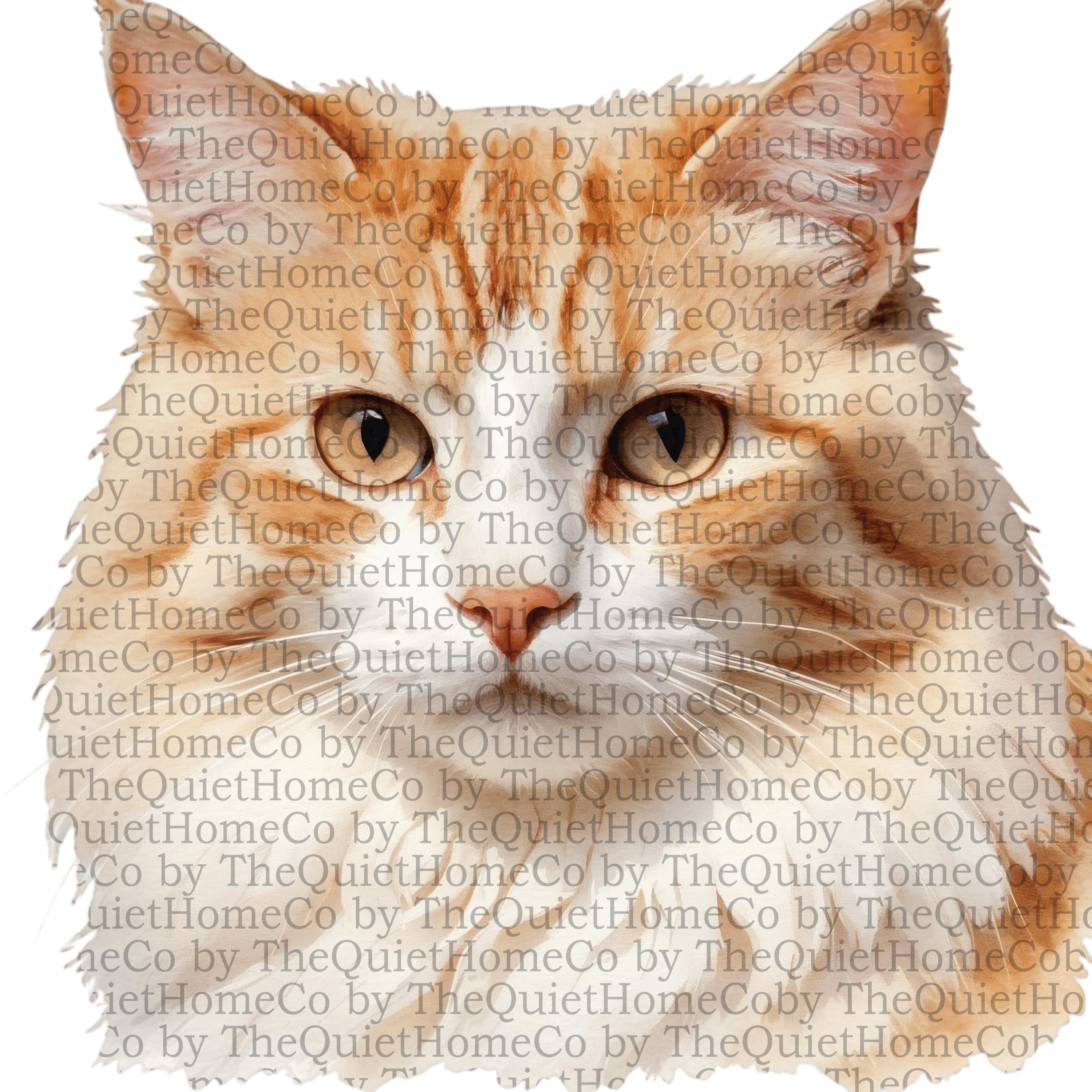 21 Orange Tabby Cat PNG Clipart Set Realistic Watercolor Cats