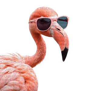 16 Cool Flamingo Clipart Set | Watercolor Flamingos in Sunglasses PNG for Tropical Summer Art | Funny Bird Transparent Bundle | Set #149