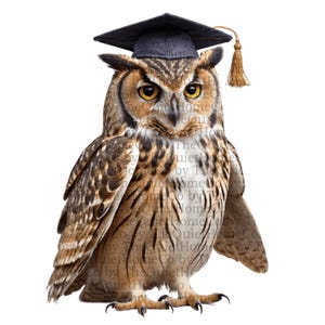 29 Wise Owl PNG Clipart Set | Watercolor Graduation Owls in Academic Robes & Glasses | Animal Clip Art | Transparent Background | Set #102
