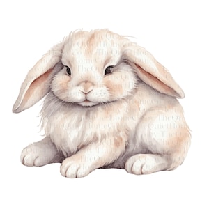 Conjunto com 12 cliparts de coelhos em PNG | Coelhos dormindo e sentados em aquarela suave para decoração de quarto de bebê, chá de bebê e artesanato em madeira | Conjunto nº 580