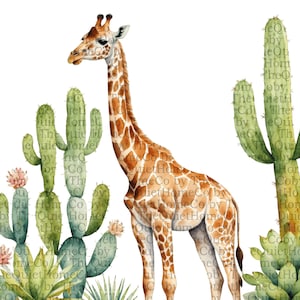 20 Clipart PNG de girafe aquarelle | Jolies girafes safari avec cactus et plantes succulentes | Illustration d'animal de la jungle du désert | Lot #108