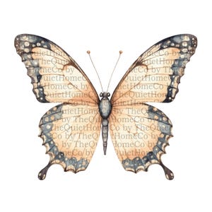 Conjunto de 24 imágenes prediseñadas de mariposas PNG / Mariposas vintage de acuarela en tonos pastel suaves / Fondo transparente / Arte botánico primaveral / Conjunto n.° 41
