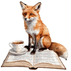 19 dessins de renard lisant à l'aquarelle | Livre et thé animaux des bois PNG | Art transparent renard douillet pour décoration d'automne | Ensemble #167