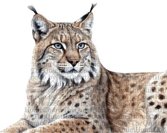 18 Watercolor Lynx Clipart Bundle | Wildcat PNG Images (Digital Download) | Set #374