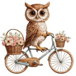 30 Eulen Fahrrad PNG Bundle | Niedliche Aquarell Eulen auf Fahrrädern mit Blumen | Waldtier Clip Art | Transparentes PNG | Set #87
