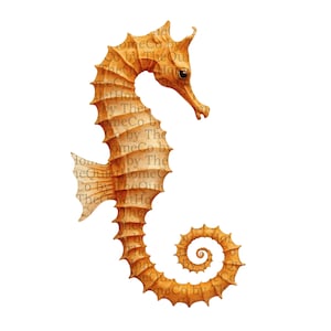 19 Seahorse Clipart PNG Set | Hand Painted Ocean Sea Horse Digital Download for Scrapbooking, Nautical Decor & Craft Projects | Set #467