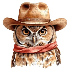 Conjunto de 12 clipart PNG de corujas cowboy | Corujas em aquarela com chapéus e bandanas | Fundo transparente | Decoração infantil rústica para impressão | Conjunto nº 17