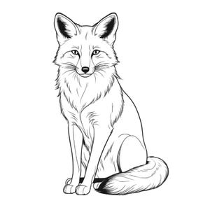 May include: A black and white illustration of a fox in a seated position, facing forward. The fox has a fluffy chest and tail, with pointed ears and a detailed facial expression. The artwork is a clean, line-art style.