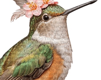 Paquete de 19 imágenes prediseñadas de colibríes en acuarela / PNG pintados a mano (descarga digital) / Conjunto n.° 202