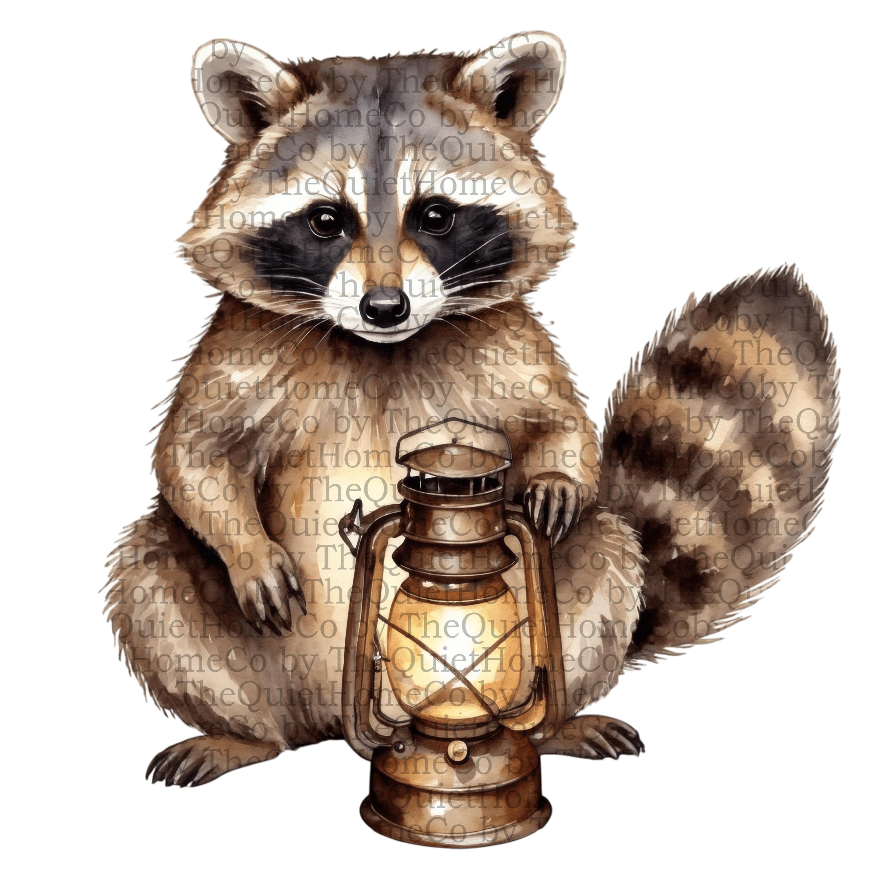 18 Watercolor Raccoon Clipart Set | PNG Cozy Woodland Raccoons Holding ...