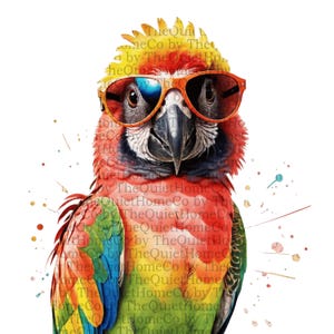 16 Cool Parrot Clipart Set | PNG Tropical Birds with Sunglasses for Summer Decor, Sublimation, Party Invites & Beach Designs | Set #409