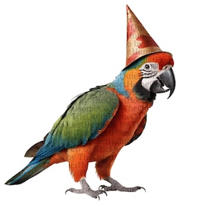 Lot de 16 cliparts colorés de perroquets fêtards | Perroquet aquarelle avec chapeau PNG | Illustration drôle d'oiseau tropical pour la sublimation et la décoration | Ensemble #194