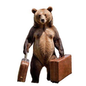 Ensemble de 29 cliparts PNG Ours qui voyage | Oursons en peluche aquarelle avec valises et tenues | Images clipart animal aventure pour chambre d'enfants | Ensemble #94