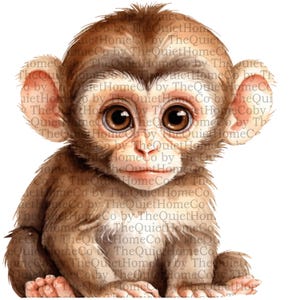 15 Baby Äffchen Clipart PNG | Aquarell Dschungeltier Illustrationen für Kinderzimmer Drucke, Geburtstagseinladungen & Sublimationstechniken | Set #444