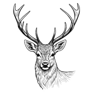 May include: A detailed black and white illustration of a deer's head and antlers. The artwork features intricate linework, highlighting the deer's fur, eyes, and impressive antlers. The image is set against a clean white background, emphasising the detailed design.