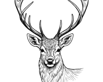 20 Vintage Engraved Deer Clipart | Hand-Drawn PNG Bundle | Set #398