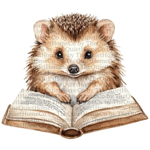 May include: Watercolor illustration of a hedgehog reading a book. The hedgehog has brown quills and a light brown face, with a black nose and eyes. The open book has visible text and is brown.