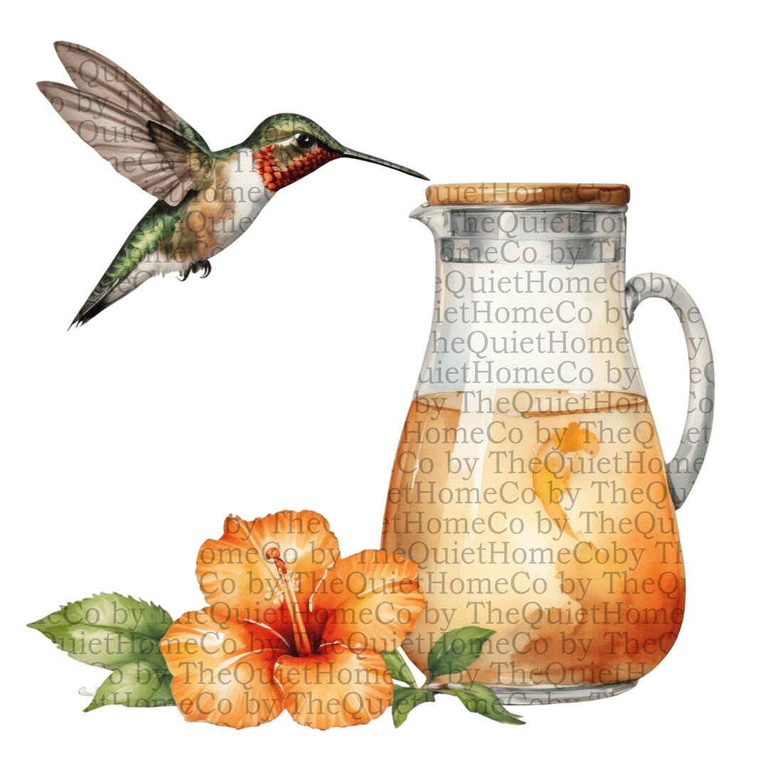 14 Hummingbird Pitcher PNG Clipart Set | Watercolor Birds With Floral ...