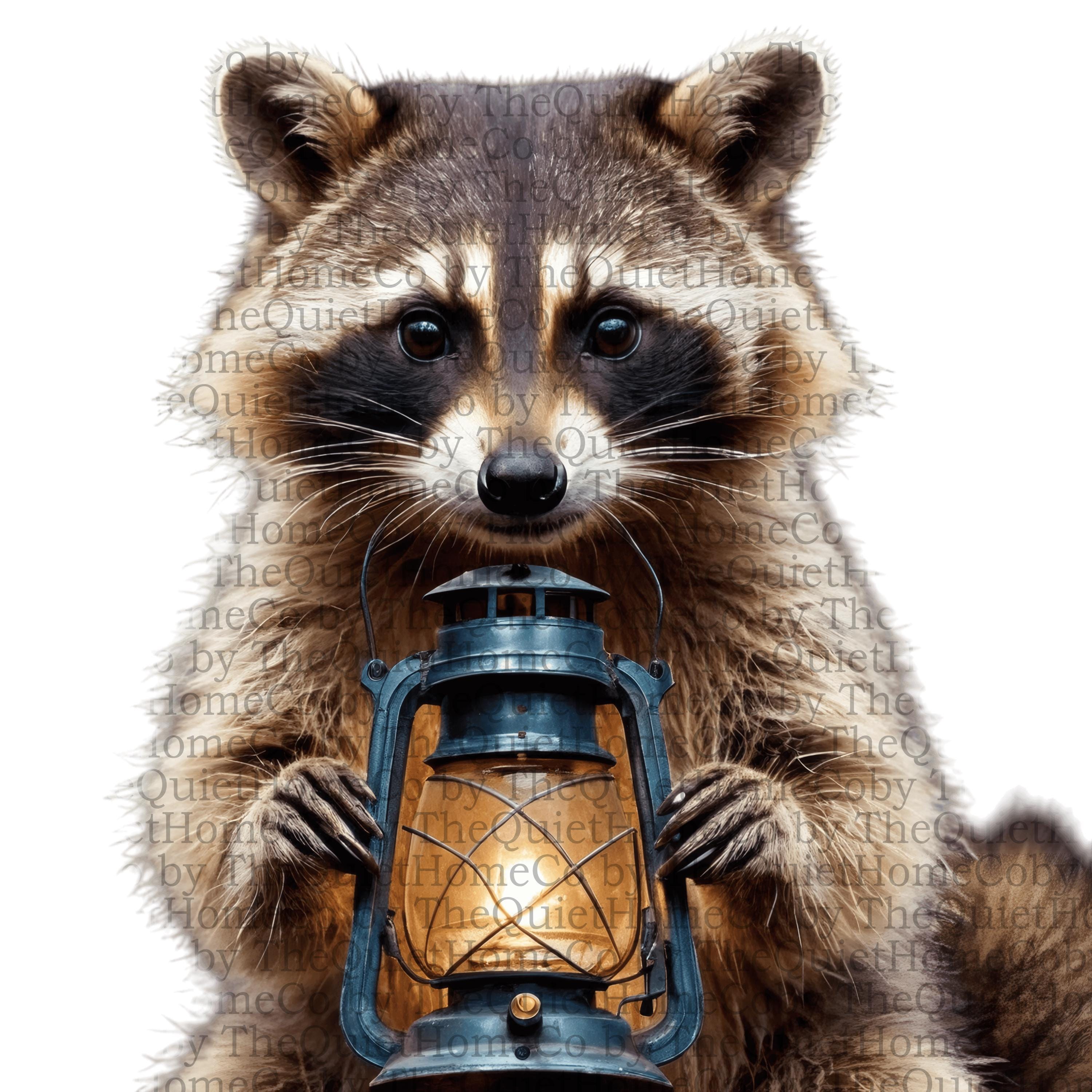 18 Watercolor Raccoon Clipart Set | PNG Cozy Woodland Raccoons Holding ...