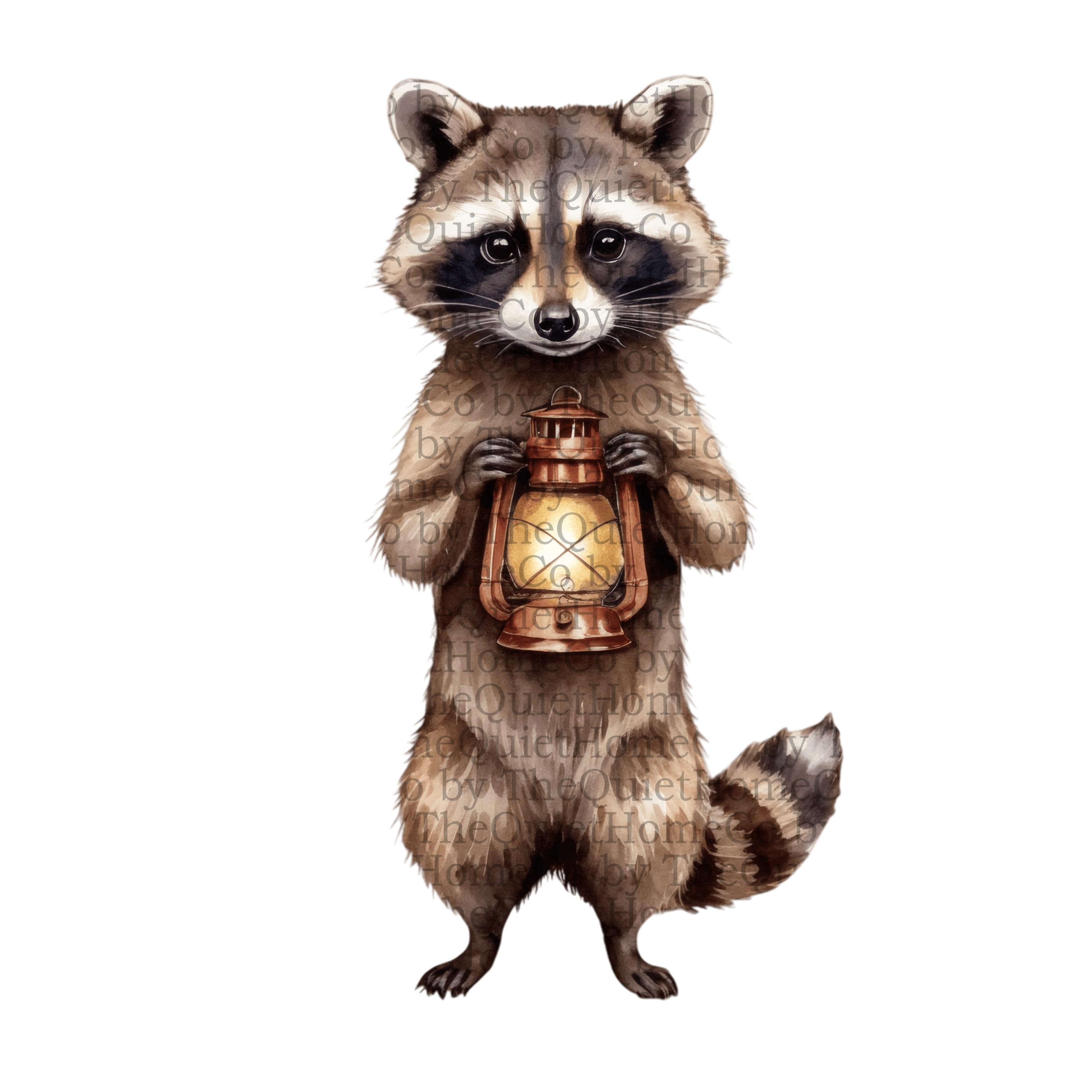 18 Watercolor Raccoon Clipart Set | PNG Cozy Woodland Raccoons Holding ...