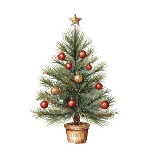 15 Hand Painted Christmas Tree Clipart PNG Set | Festive Holiday Pine Trees  for Digital Download for Cards, Invitations & Crafts | Set #502