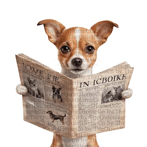 Peut inclure: Illustration numérique d'un chien brun et blanc lisant un journal. Le journal porte les mots "LOVE IT" et "IN ICBOIKE". Le chien regarde directement le spectateur avec une expression concentrée.