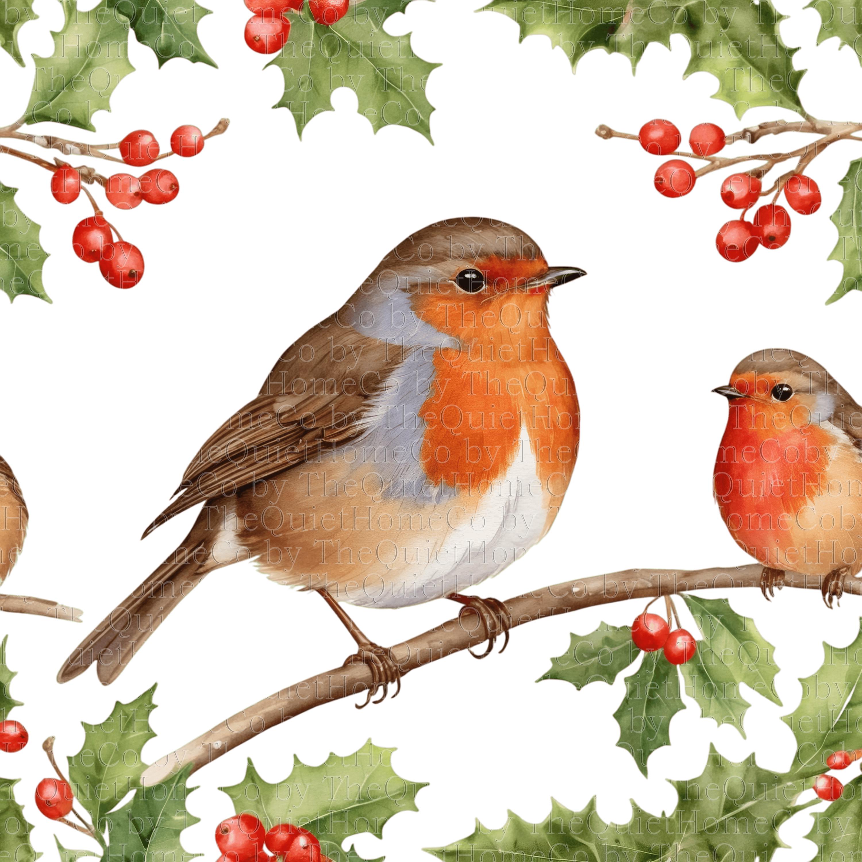水彩画クリスマスロビンクリップアート18点｜冬の鳥PNGセット