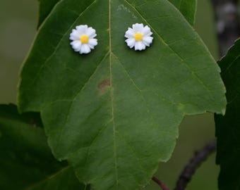 May include: Two daisy-shaped stud earrings with white petals and yellow centers. The earrings are displayed on a green leaf, creating a natural and whimsical presentation. The earrings are small and delicate.