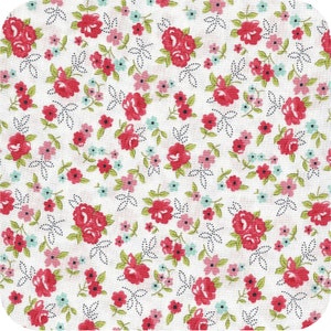 Sunday Stroll quilt fabric by Bonnie and Camille for Moda Fabrics - 1/2 yard cut - # 55222 21