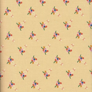 Food Group quilt fabric by Ruby Star Society for Moda Fabrics - 1/2 yard cut - # RS5041 12