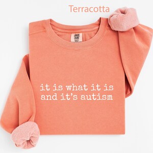 It is what it is and it's autism shirt, autism awareness top, empowering message tee, unisex casual wear, inclusive apparel