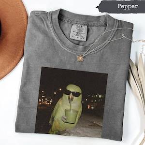 Comfort Colors® Parrot Drinking Smoothie Shirt, Funny Bird Sunglasses Tee, Cool Animal Lover Gift, Chill Tropical Vibes, Quirky Night Out
