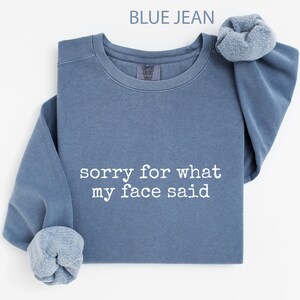 Comfort Colors® Entschuldigung für das, was mein Gesicht sagte Sweatshirt, sarkastisches Sprichwort-T-Shirt, lustiges Zitat-Shirt, introvertiertes Geschenk, antisoziales Geschenk, humorvoll