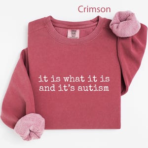 It Is What It Is And It's Autism Shirt, Crimson Red Autism Awareness Sweater, Inspirational Quote Long Sleeve Top