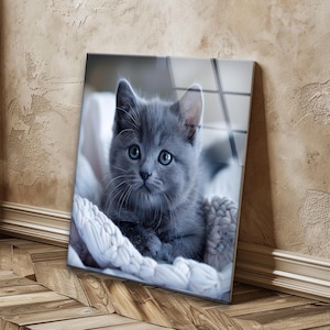 Kitten Tempered Glass Wall Art: UV Print Animal Decor